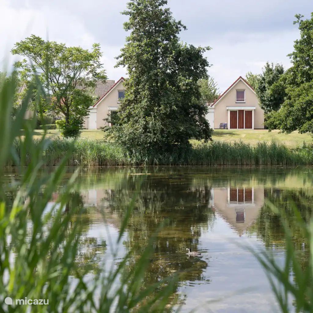 Guest house 372229 - Holiday property Midden Limburg - Venwoning | 2-6 persoons