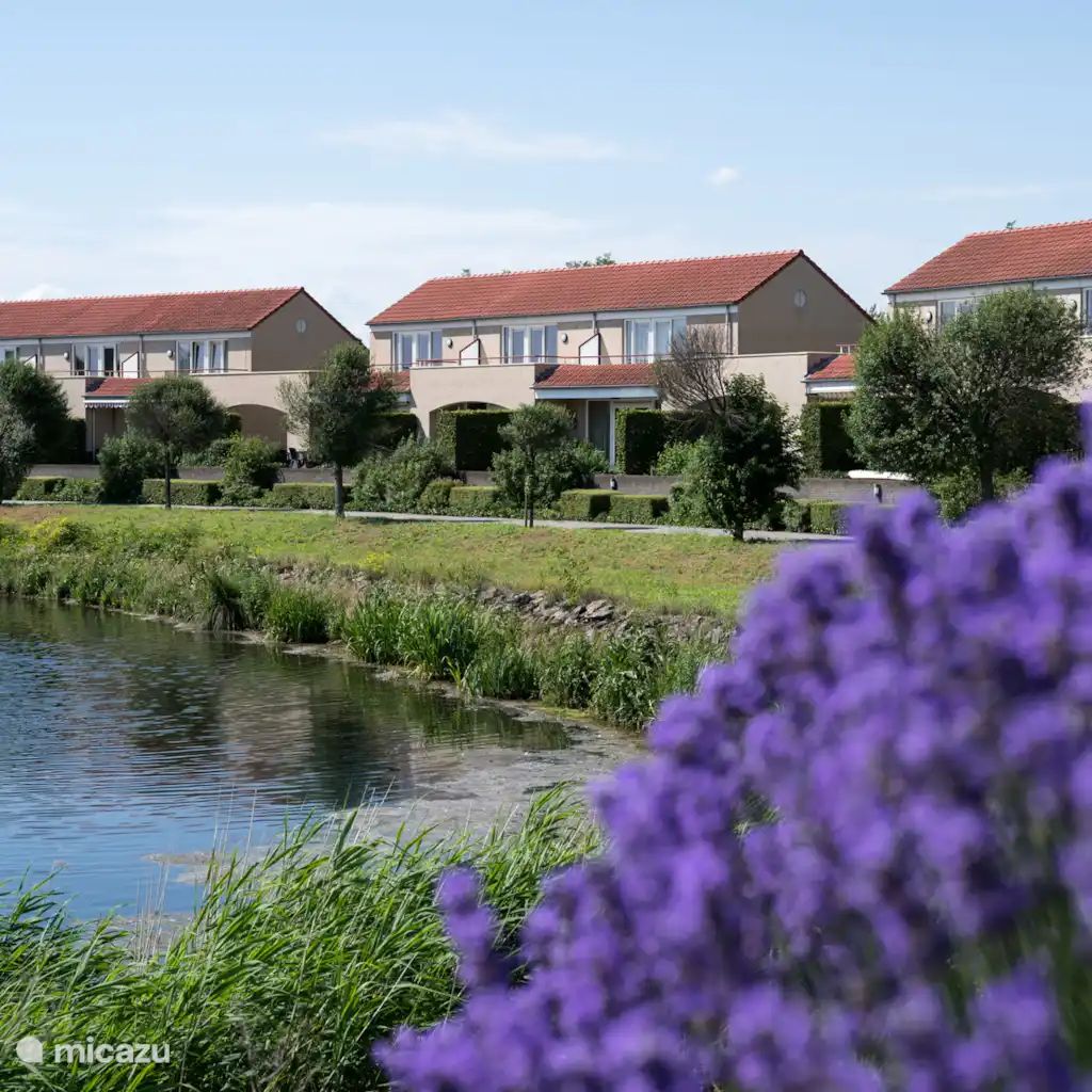 Guest house 372235 - Holiday property Midden Limburg - Havenwoning | 2-6 persoons