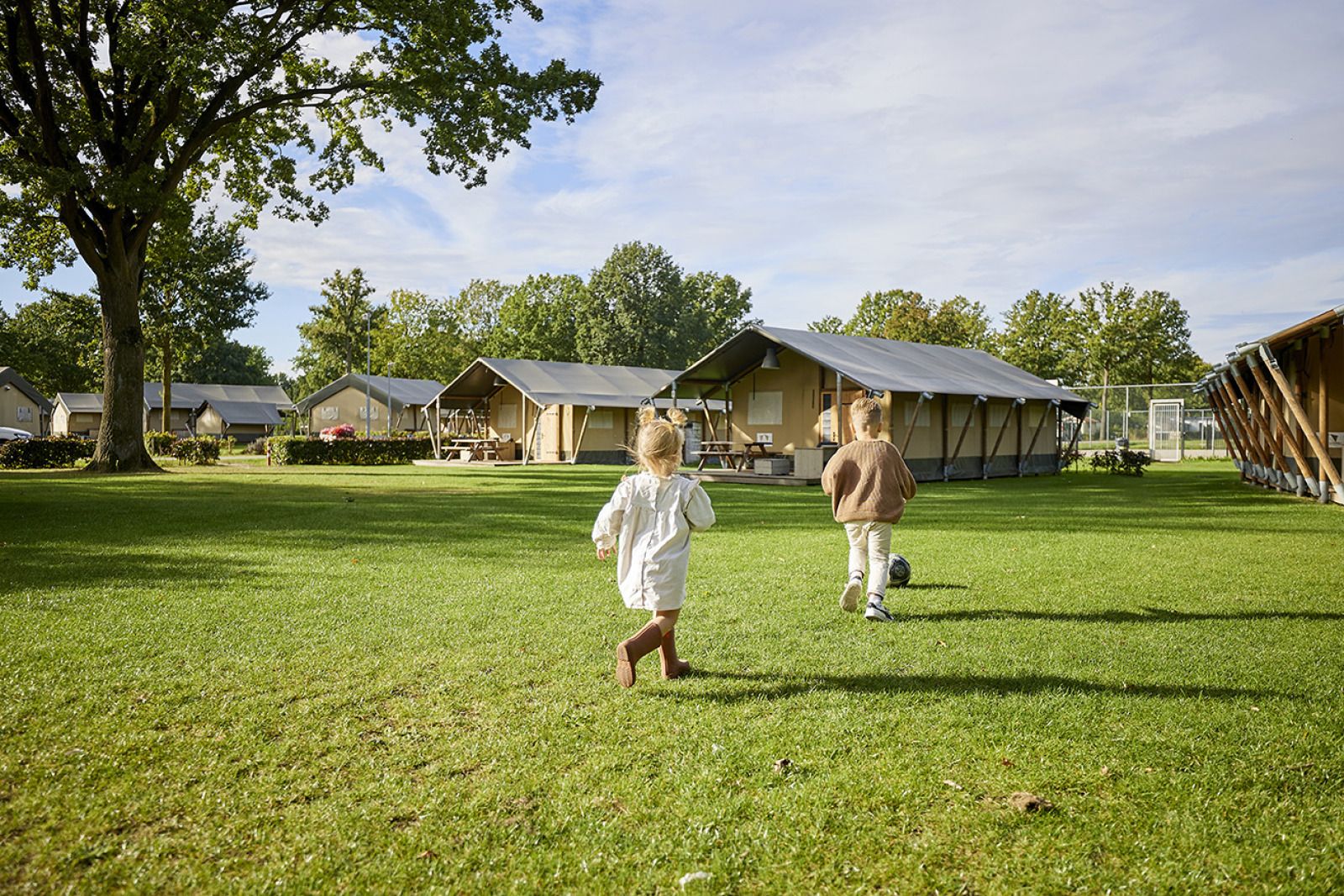 Guest house 372415 - Tent house Midden Limburg - Glamping Tent Comfort