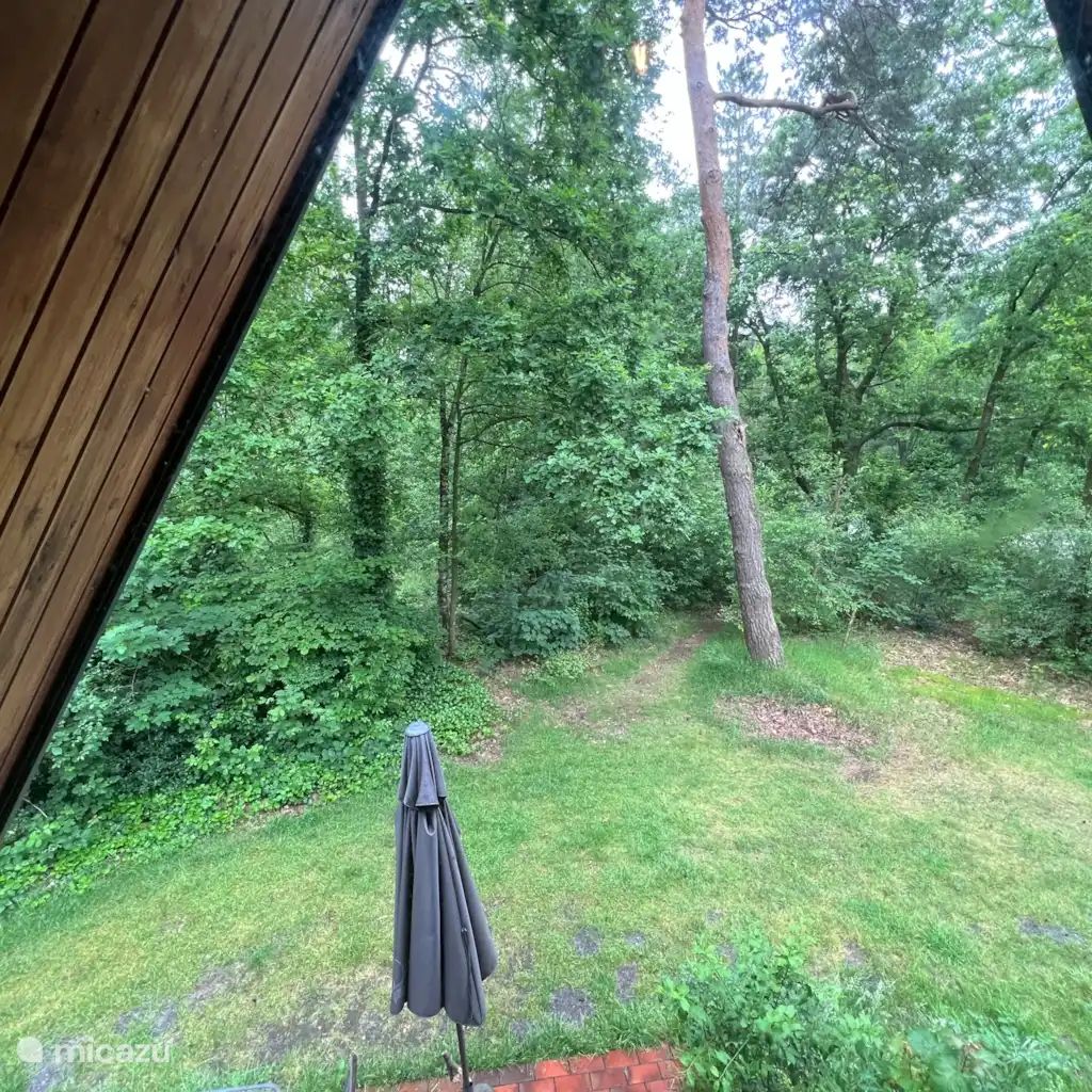 Guest house 372636 - Holiday property Midden Limburg - Vosseven 87 Muurbloem