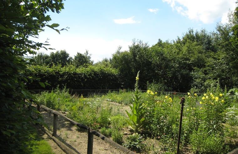 Verblijf 372901 - Vakantiewoning Midden Limburg - Huisje in Leudal