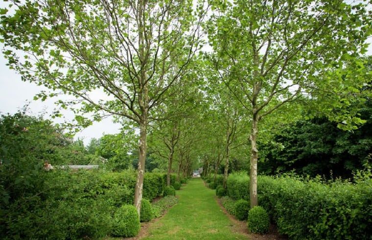 Verblijf 372901 - Vakantiewoning Midden Limburg - Huisje in Leudal