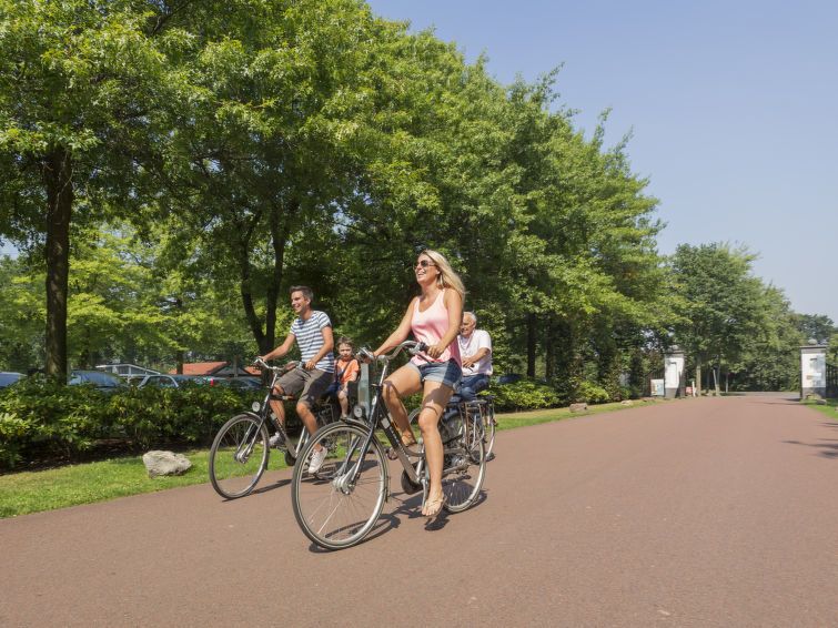 Fietsen in de groene omgeving van Vakantiehuis Berkel 6 in Susteren, Limburg.