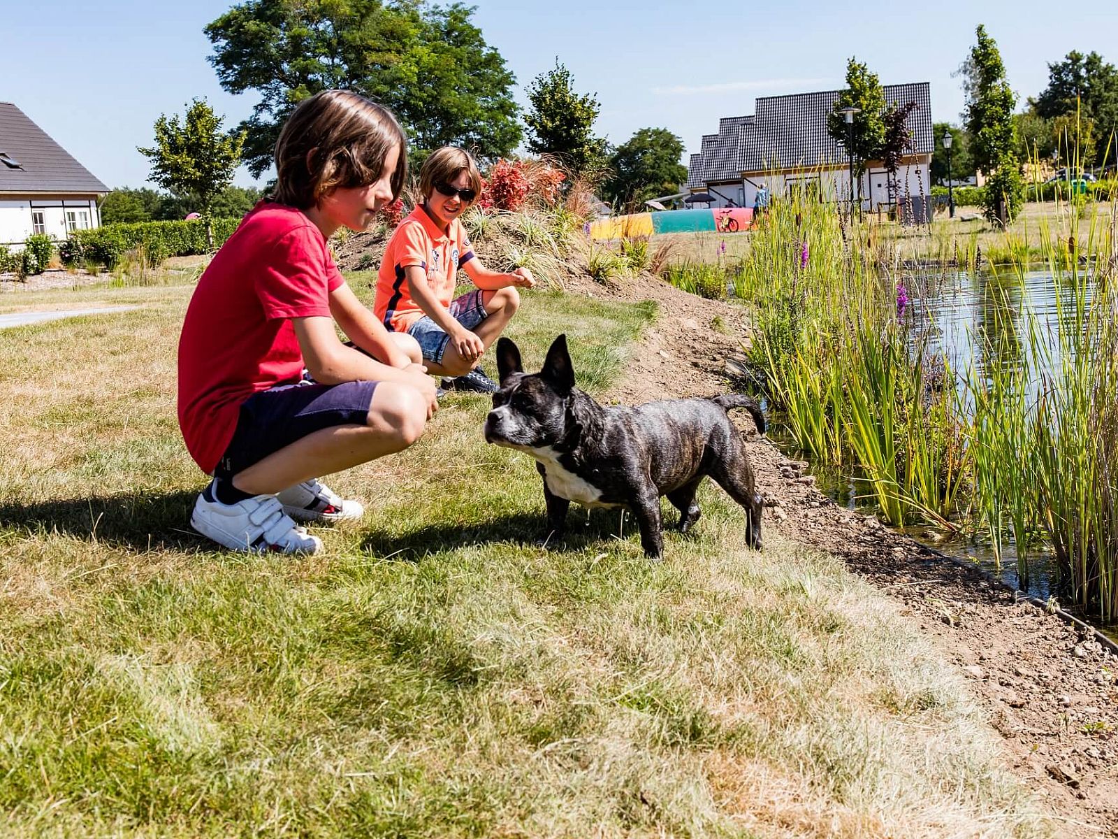 Unterkunft 373189 - Ferienhaus Midden Limburg - EuroParcs Limburg