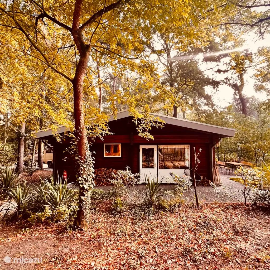 Unterkunft 374113 - Ferienhaus Midden Limburg - Boshuisje de Boskeet
