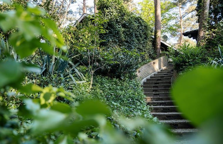 Picturesque staircase to Cottage in Meijel, nestled in the nature of Limburg.