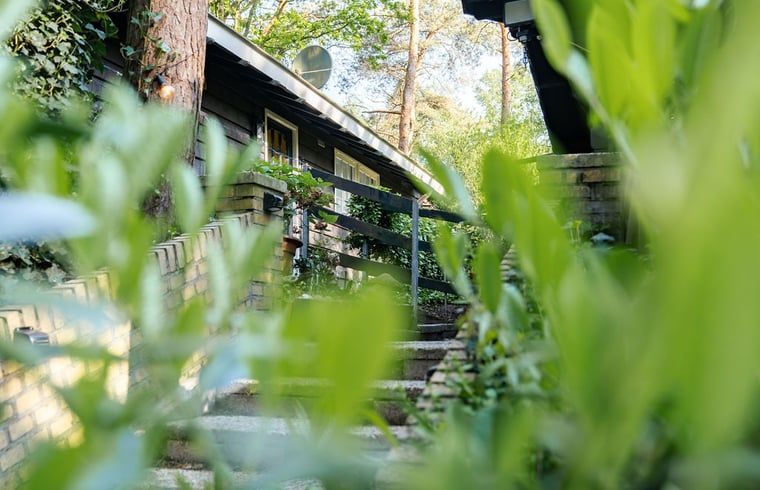 Cottage in Meijel, vacation home in Limburg with house number 27.