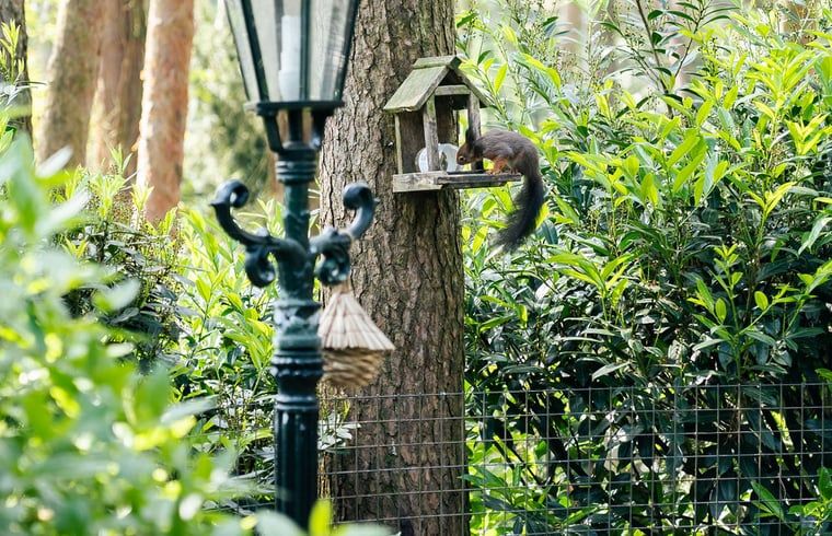 Wood-fired hot tub in the garden of Cottage in Meijel, perfect for relaxation.