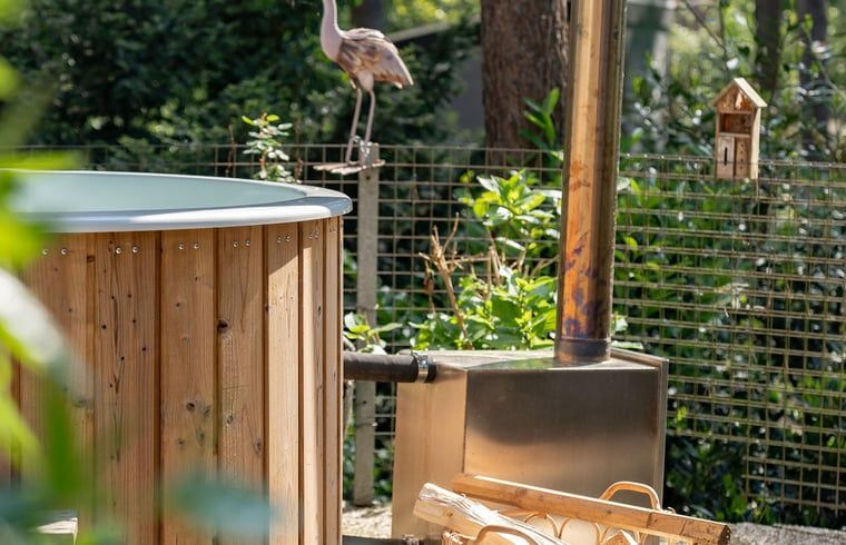 Hot tub in the wooded garden of Cottage in Meijel, Central Limburg.