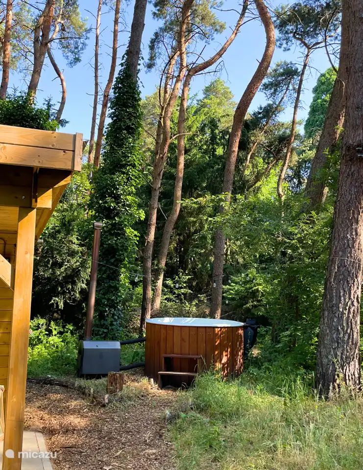 Unterkunft 374132 - Ferienhaus Midden Limburg - Boshuisje Eden