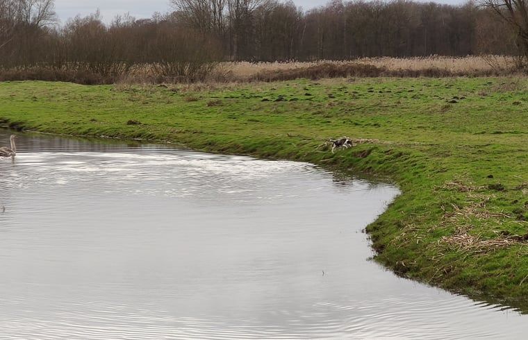Ruhige Umgebung im Ferienhaus in Kelpen-Oler, Zentral-Limburg. Ferienhaus mit Blick auf die Natur und das Wasser in Limburg.