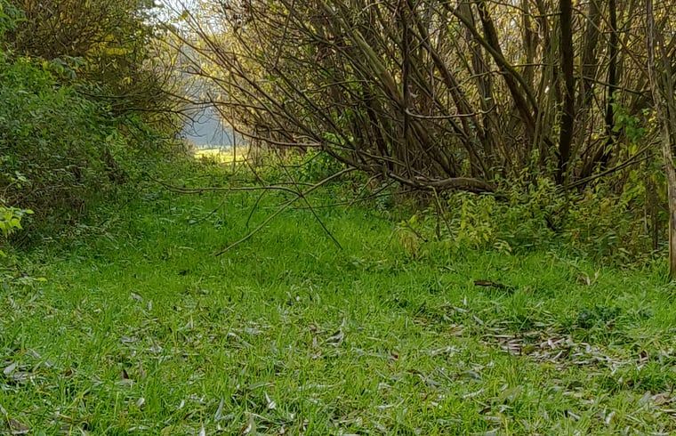 Entdecken Sie die gruene Umgebung von Huisje in Kelpen-Oler, ein Ferienhaus im Herzen von Mittellimburg, ideal fuer Naturliebhaber.