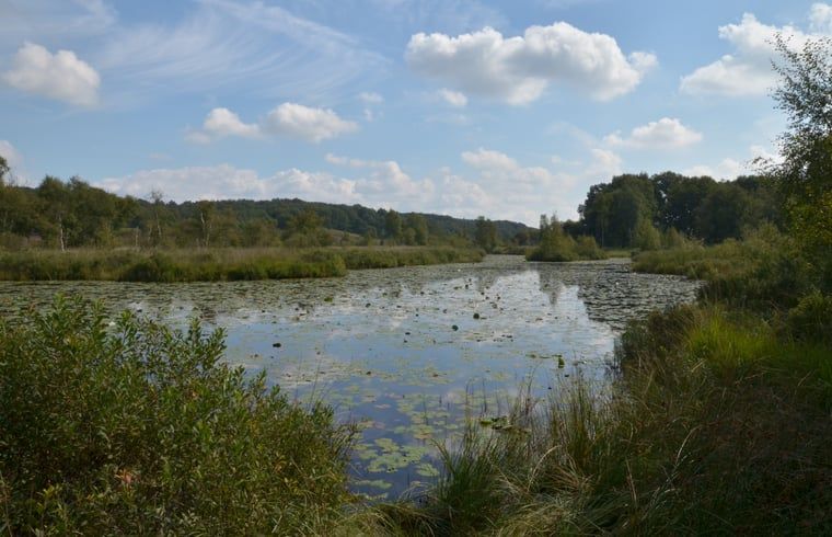 Unterkunft 375202 - Ferienhaus Midden Limburg - Vakantiehuis in Melick