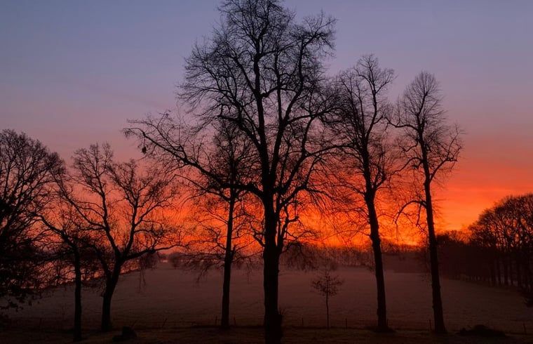 Schoener Sonnenaufgang in der Naehe eines Ferienhauses in Geijsteren, Nord-Limburg, mit Silhouetten von Baeumen.