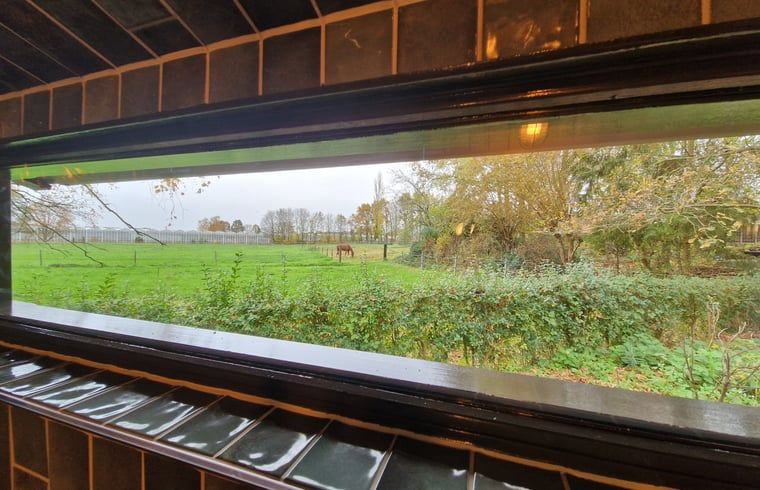 Unterkunft 382011 - Ferienhaus Noord Limburg - Vakantiehuisje in Velden