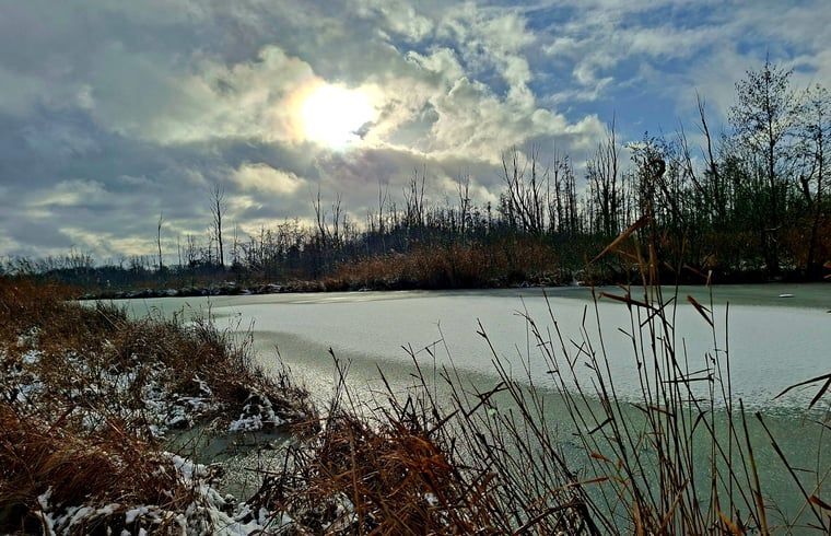 Verblijf 382202 - Vakantiewoning Noord Limburg - Huisje in Broekhuizenvorst