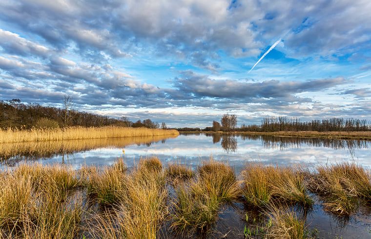 Unterkunft 382611 - Ferienhaus Noord Limburg - Vakantiehuisje in Blitterswijck