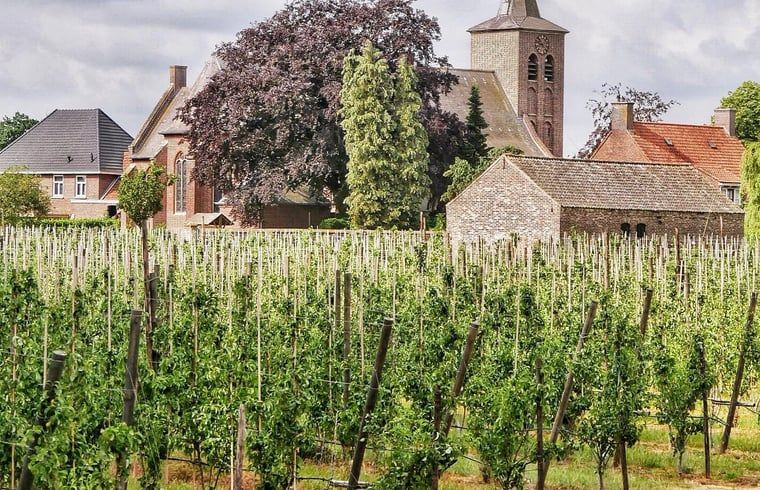 Unterkunft 382611 - Ferienhaus Noord Limburg - Vakantiehuisje in Blitterswijck