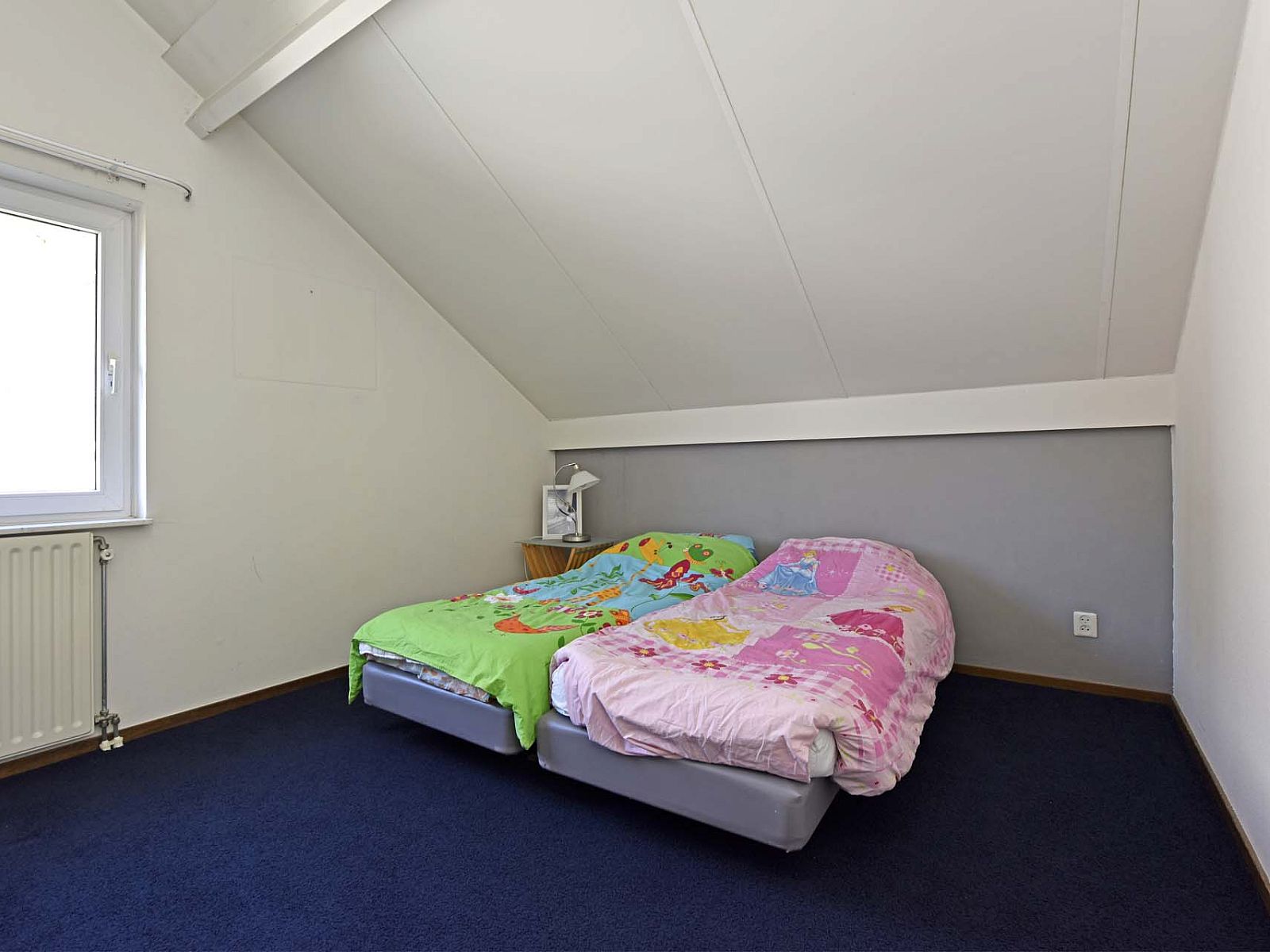 Picture 19