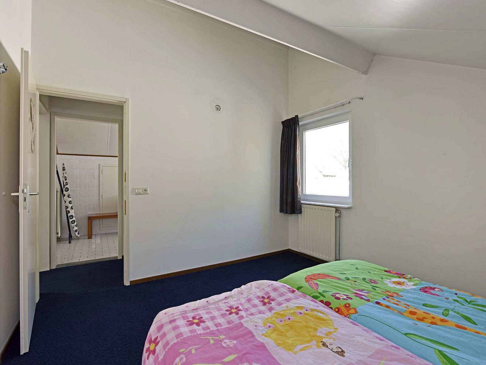 Picture 20