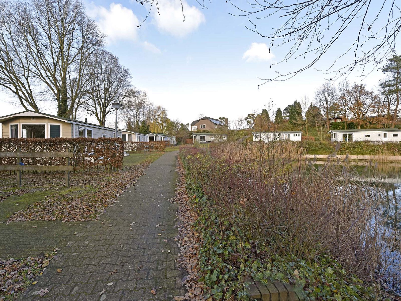 Verblijf 382783 - Chalet Noord Limburg - Chalet in Arcen