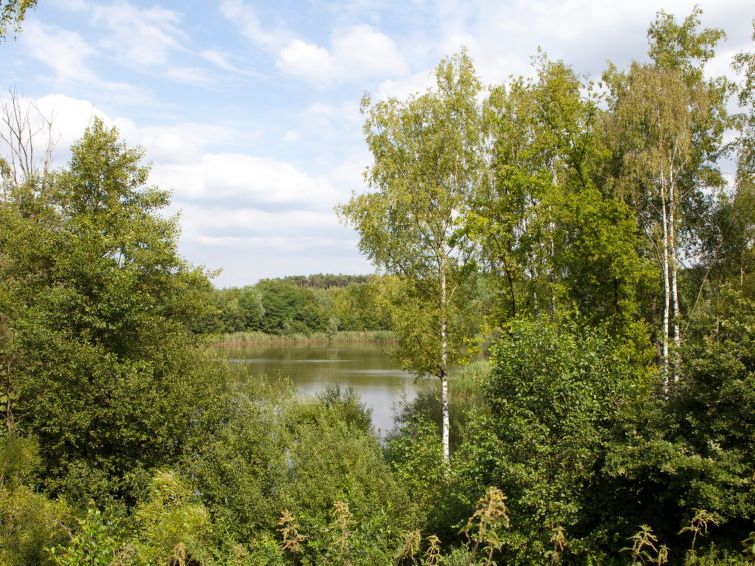 Picture 22