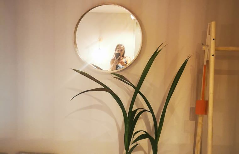 Blick auf den Garten und die Sauna im Ferienhaus in Amerika, Limburg.