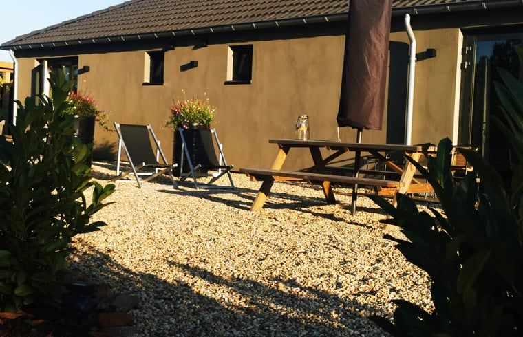 Sunny terrace at Holiday Home in America, North Limburg, with seating and flowering plants.
