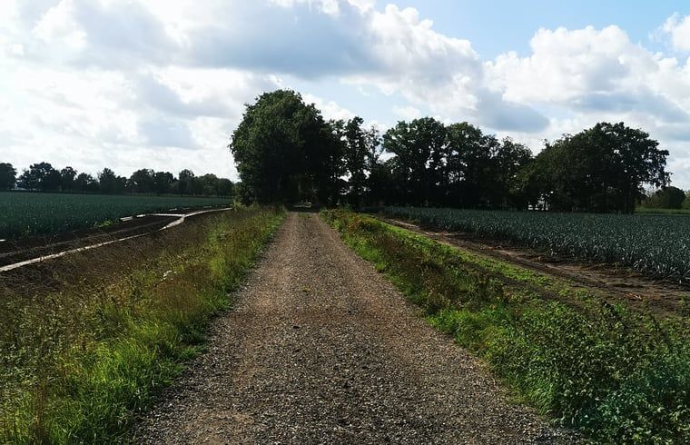 Spacious outdoor area at Holiday Home in America, North Limburg, with comfortable deck chairs and tables.