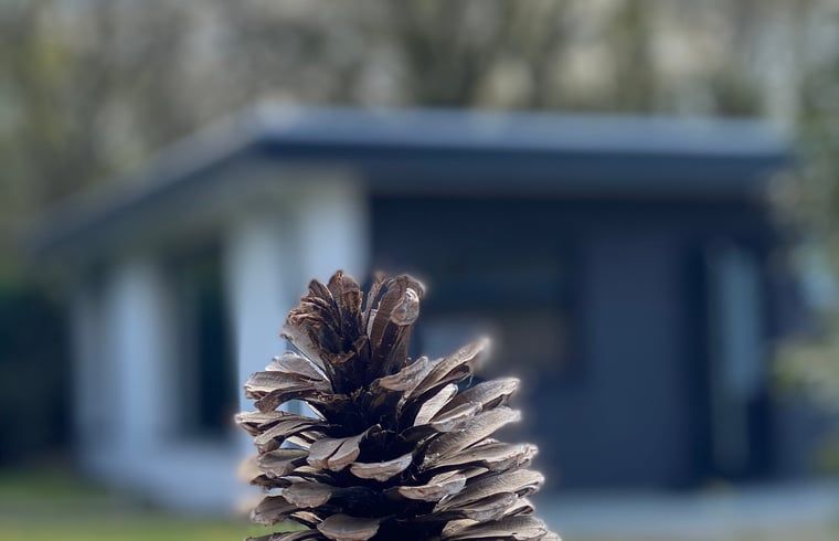 Natuerliche Umgebung im Huisje in Heijen, Ferienunterkunft in Limburg.