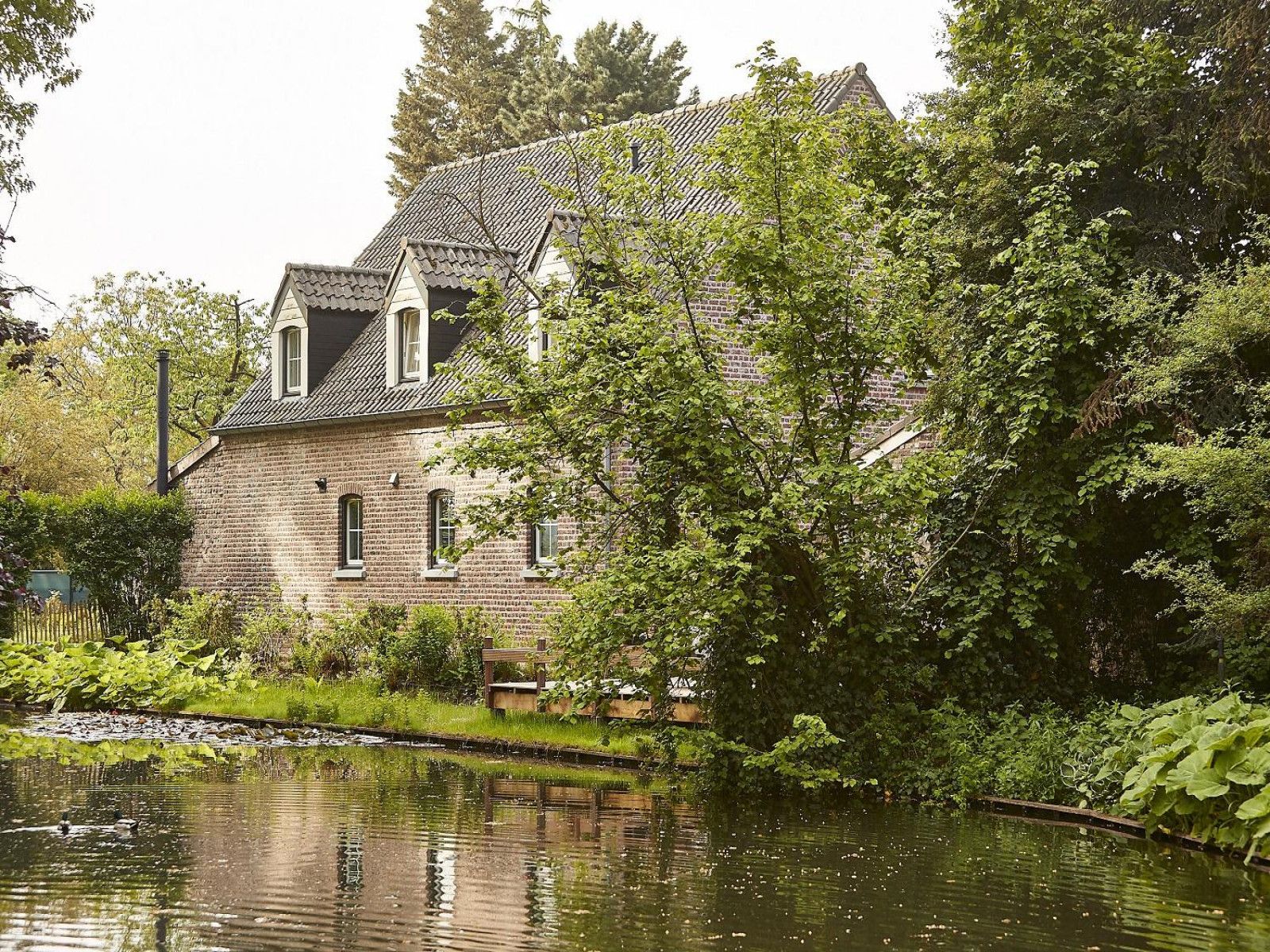 Guest house 383915 - Holiday property Noord Limburg - L185