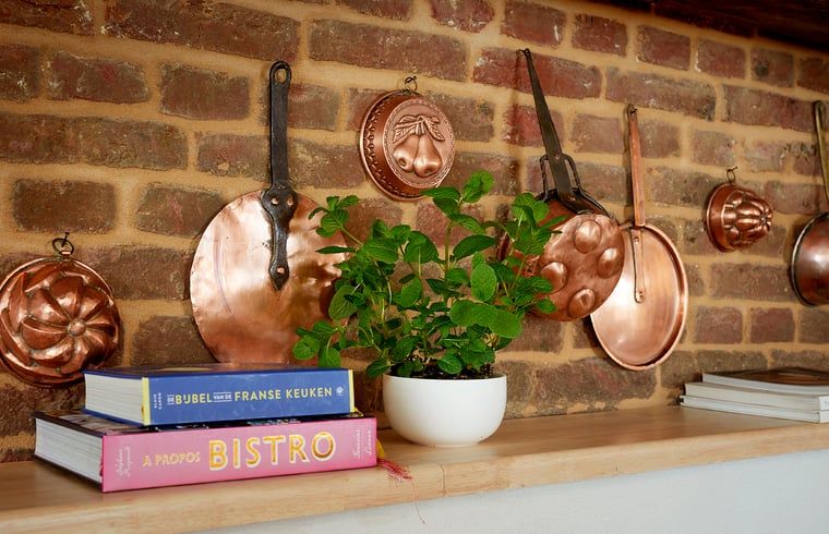 Unterkunft 383916 - Ferienhaus Noord Limburg - Vakantiehuisje in Baarlo