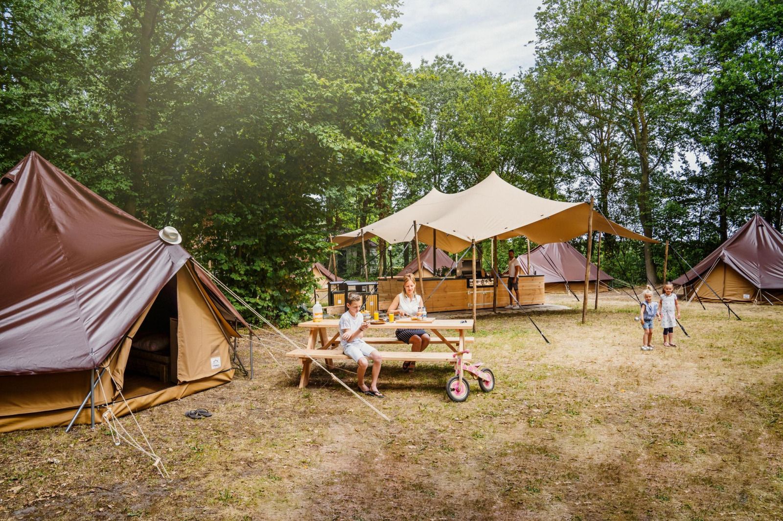 Guest house 384041 - Tent house Noord Limburg - Glamptent GT