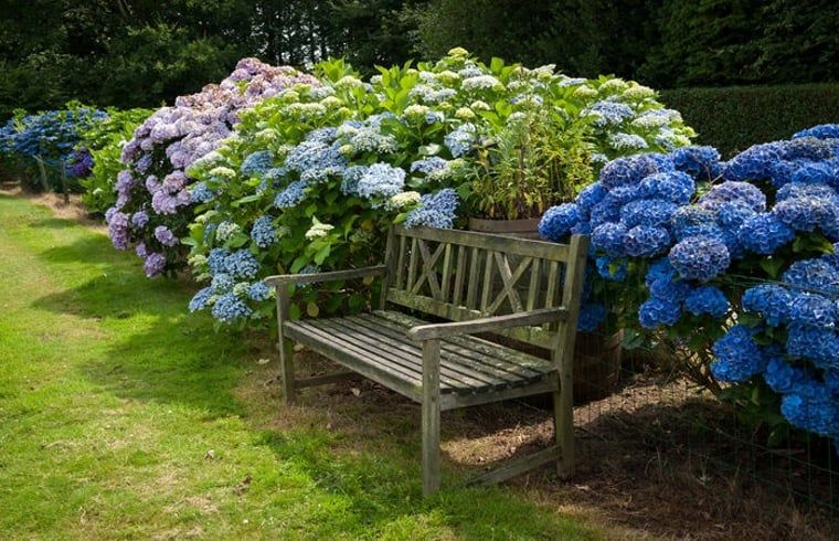 Unterkunft 384210 - Ferienhaus Noord Limburg - Huisje in Siebengewald