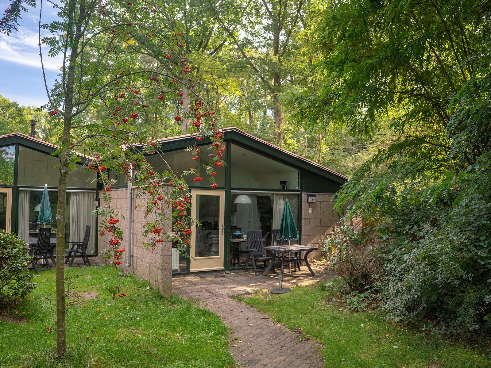 Guest house 384749 - Bungalow Noord Limburg - De Lommerbergen | 2-persoons bungalow | 2B1