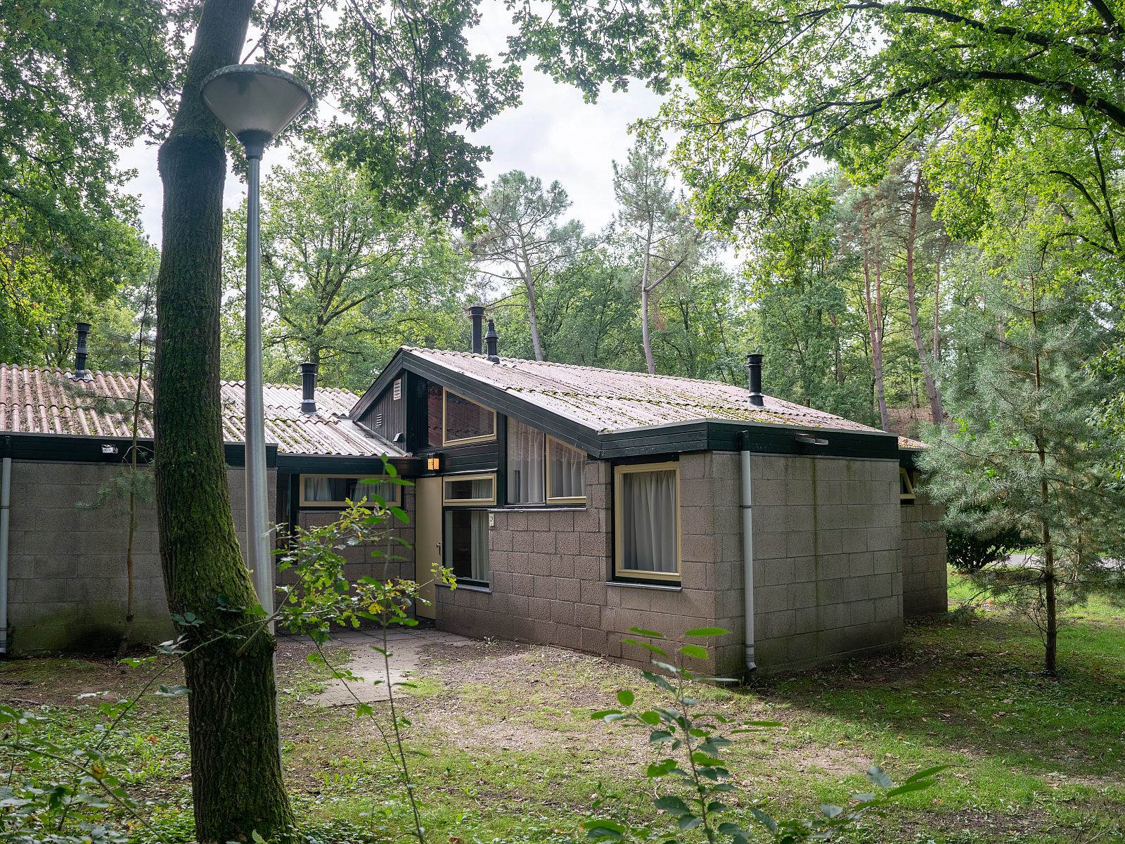 Guest house 384752 - Bungalow Noord Limburg - De Lommerbergen | 5-persoons bungalow | 5B