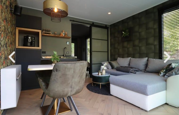 Stilvolles Wohnzimmer des Ferienhauses in Merselo, Nord-Limburg, mit moderner Einrichtung.