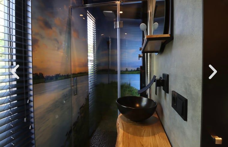 Modernes Badezimmer im Ferienhaus in Merselo, Nord-Limburg, mit Naturthema.