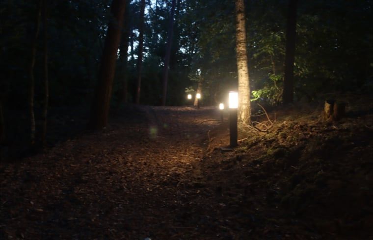 Beleuchtete Waldwege in der Naehe des Ferienhauses in Merselo, Nord-Limburg, fuer Abendspaziergaenge.