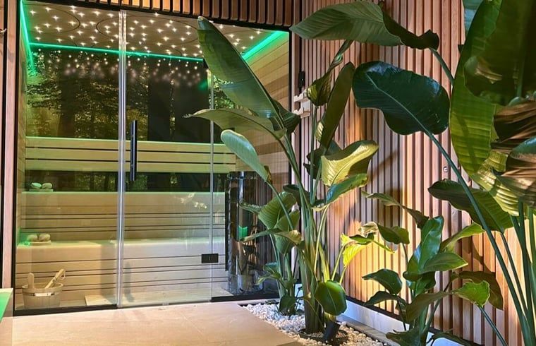 Luxussauna im Ferienhaus in Merselo, Nord-Limburg, mit moderner Einrichtung.