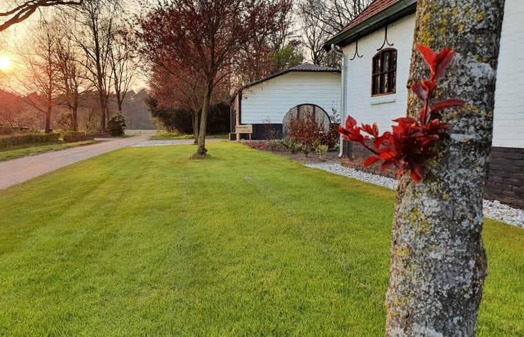 Vorderansicht von Cottage in Merselo, einem charmanten Ferienhaus in Nord-Limburg, umgeben von Natur.