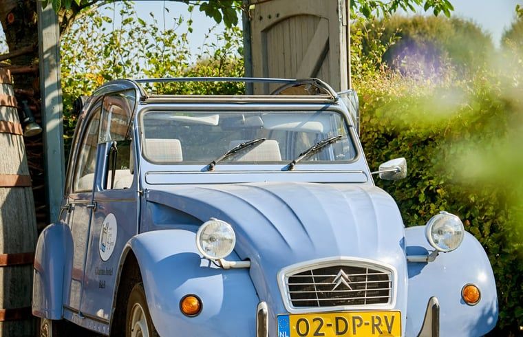 Klassieke auto bij Huisje in Sevenum, vakantiehuis in Limburg.