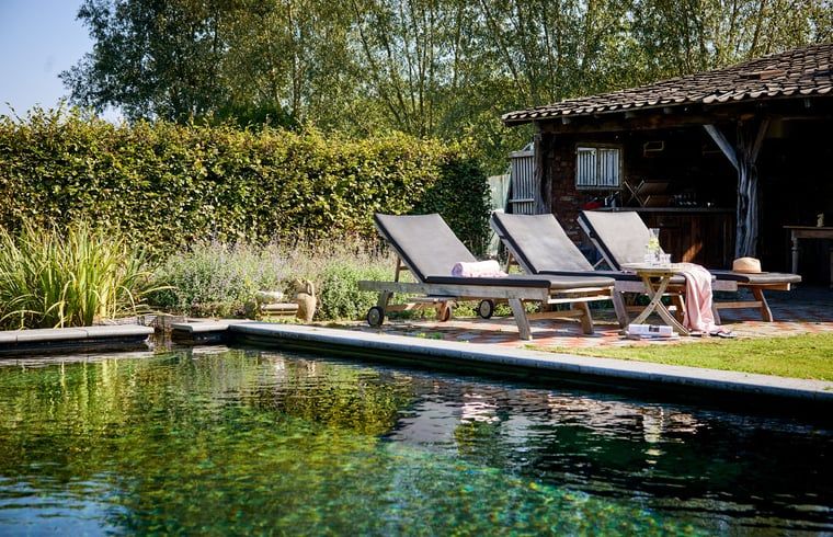 Ontspannen bij het zwembad van Huisje in Sevenum, vakantiehuis in Limburg.