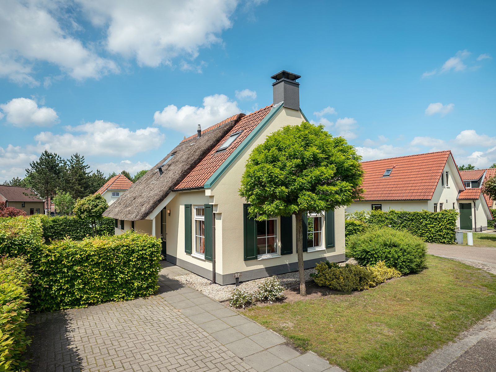 Unterkunft 385247 - Bungalow Noord Limburg - Domein De Schatberg | 6-persoons bungalow | 6CE