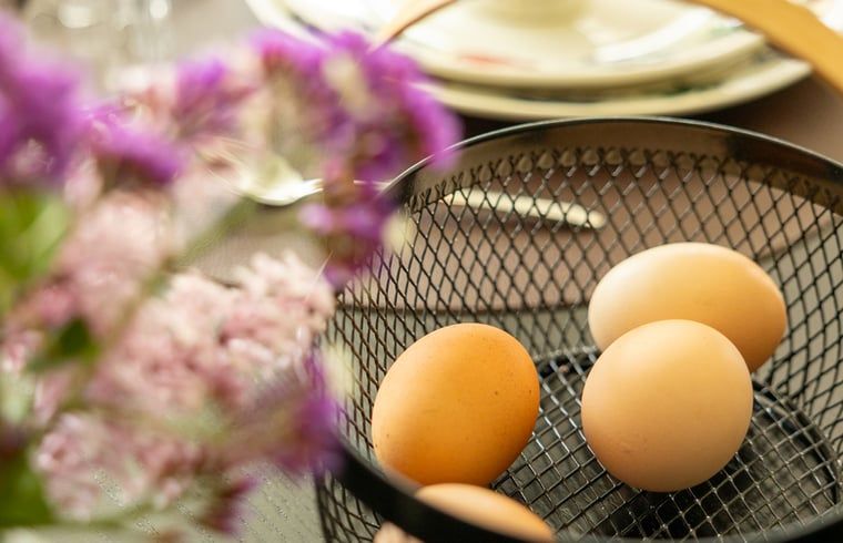 Frische Eier zum Fruehstueck im Ferienhaus in Baexem, Nord-Limburg.