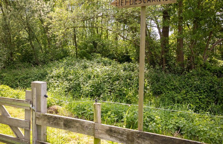 Romantischer Waldweg am Ferienhaus in Baexem, Nord-Limburg, Ferienhaus.