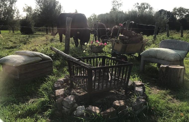 Unterkunft 385613 - Ferienhaus Noord Limburg - Vakantiehuis in Baexem