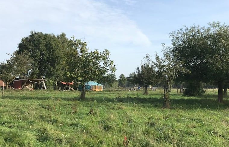 Unterkunft 385613 - Ferienhaus Noord Limburg - Vakantiehuis in Baexem