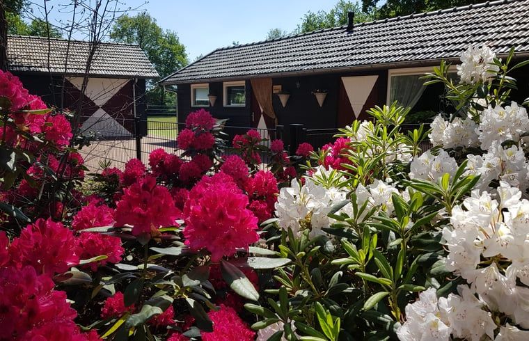 Entrance to Holiday Home in Heythuysen, North Limburg, surrounded by lush nature and green trees for a serene vacation experience.