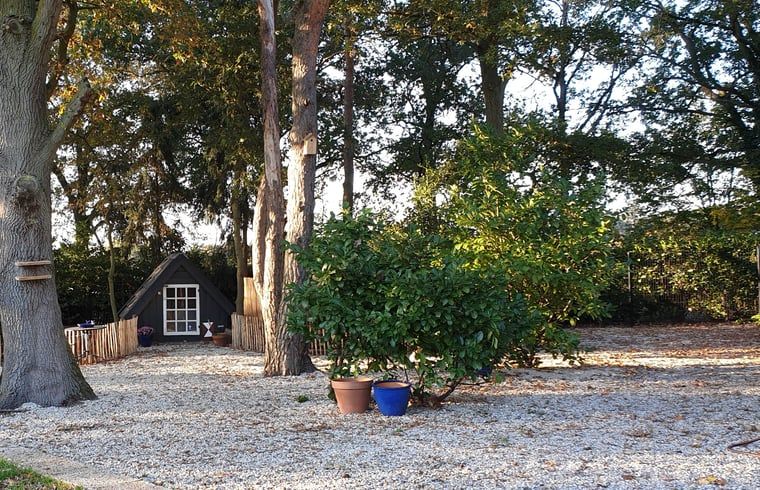 Guest house 385822 - Holiday property Noord Limburg - Vakantiehuisje in Heythuysen